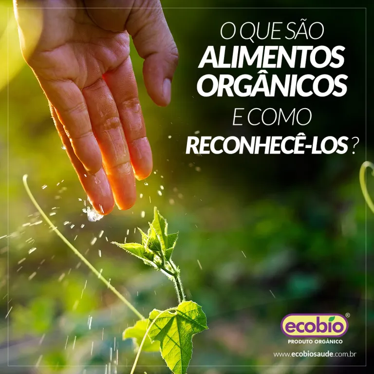 O que são alimentos orgânicos e como reconhecê-los?